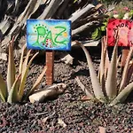 Casa Madre Tierra *