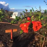 Casa Madre Tierra