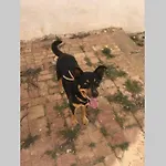 Casa Madre Tierra 아파트
