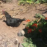 Casa Madre Tierra Apartamento *