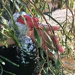 Apartamento Casa Madre Tierra *