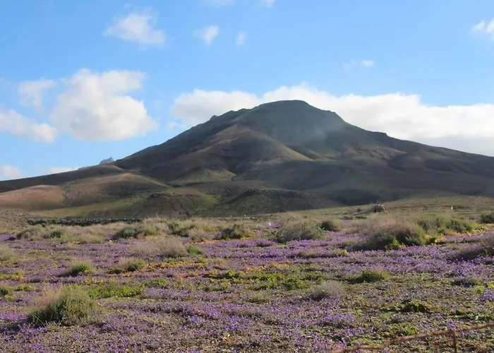 Casa Madre Tierra דירה *