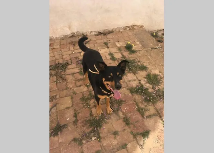 Casa Madre Tierra דירה