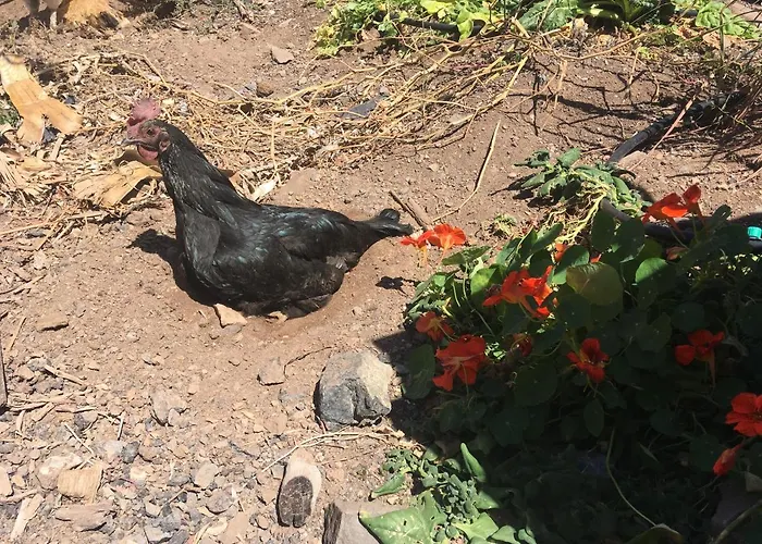 Casa Madre Tierra Apartamento *