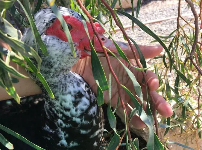 Apartamento Casa Madre Tierra *